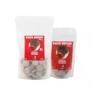 Micorrizas para bonsai