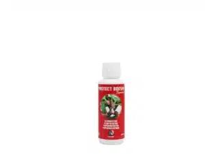 Protección natural contra insectos y hongos en bonsai