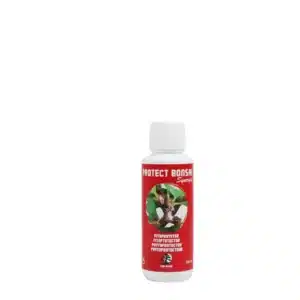 Protección natural contra insectos y hongos en bonsai